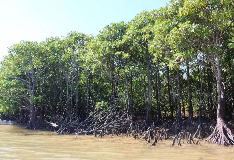 ペンション Nature Miraikan