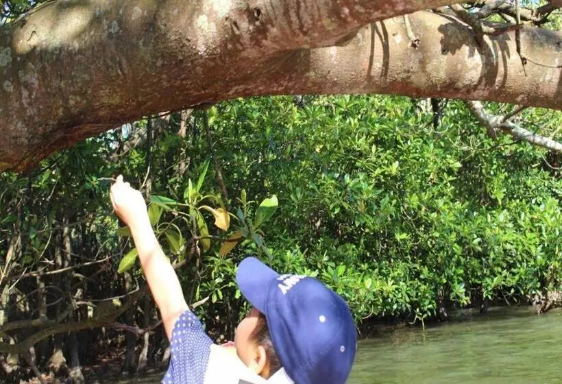 ペンション Nature Miraikan