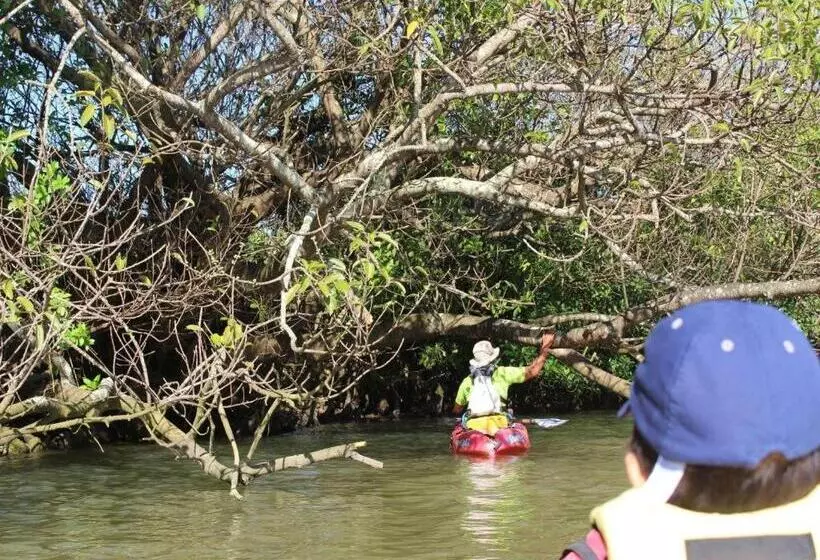 ペンション Nature Miraikan