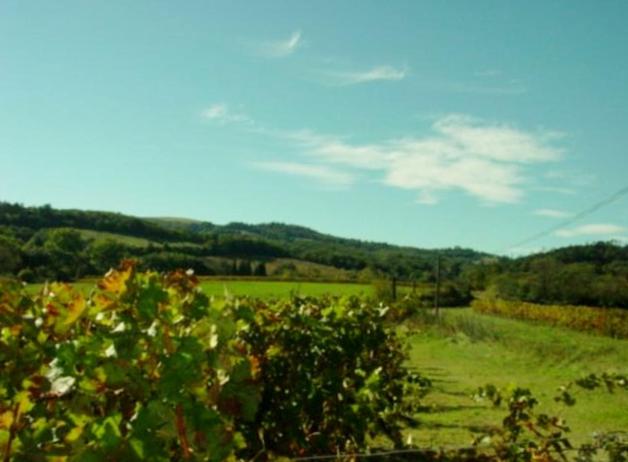 צימר Chambre D’hôtes Neptune Wood