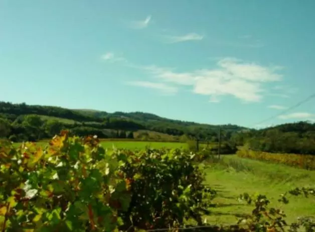 ベッドアンドブレックファースト Chambre D’hôtes Neptune Wood