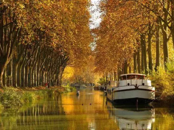 ベッドアンドブレックファースト Chambre D’hôtes Neptune Wood