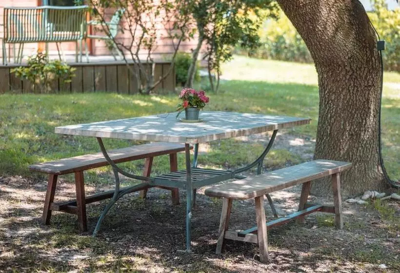 ベッドアンドブレックファースト Chambre D’hôtes Neptune Wood