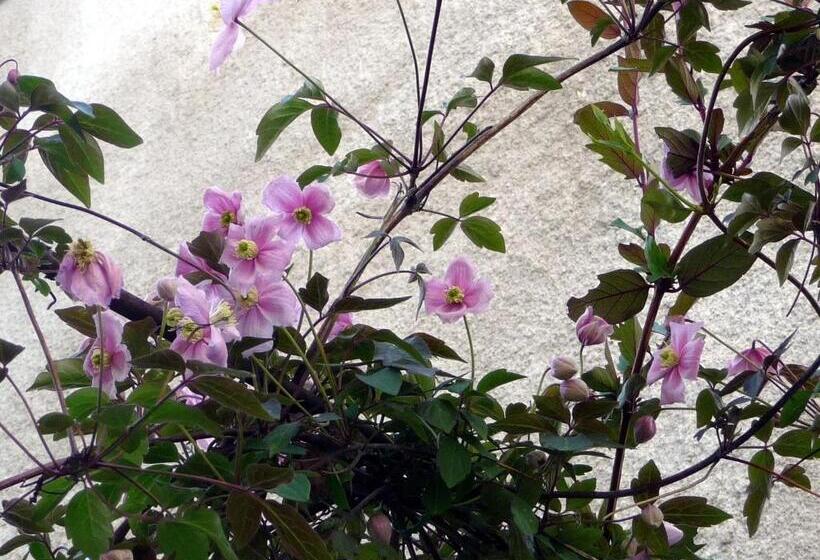 Bed and Breakfast Le Patio Des Senteurs