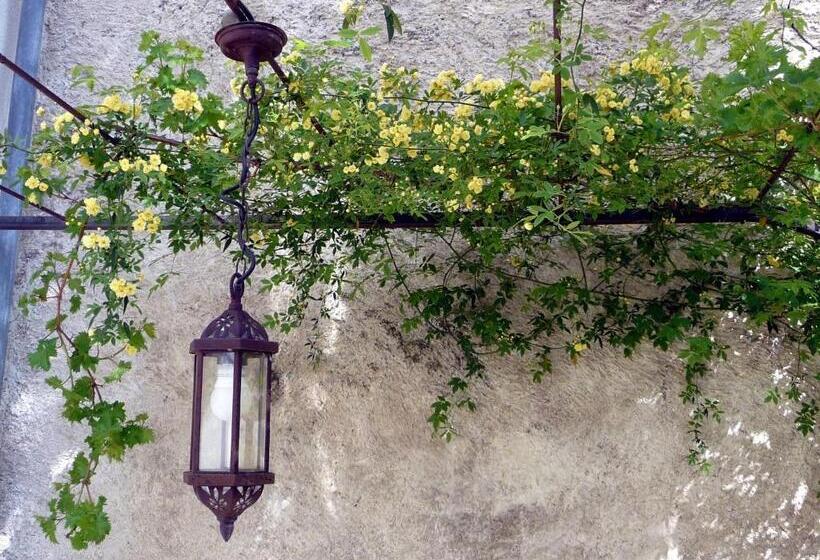 Bed and Breakfast Le Patio Des Senteurs