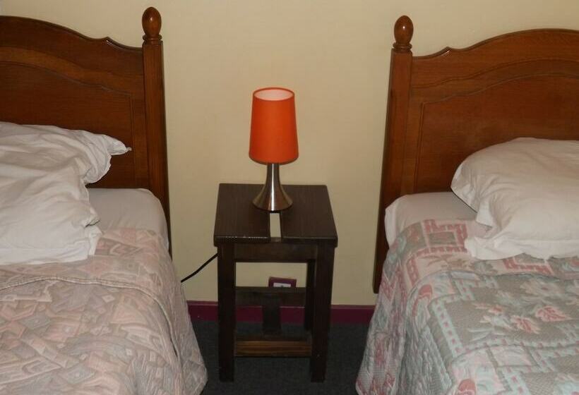 فندق فئة نجمة واحدة L Auberge De Mandrin