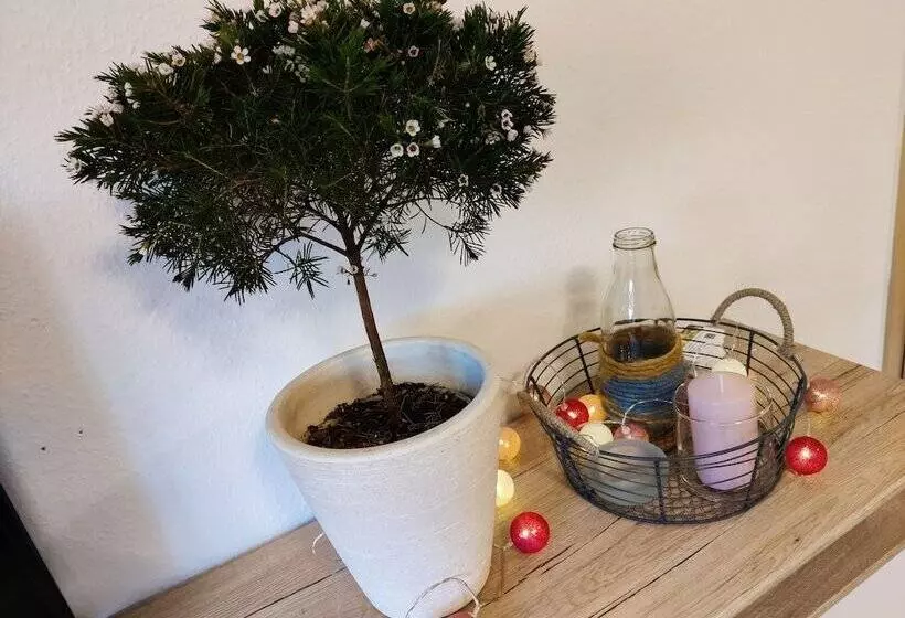 Hotelli Ferienwohnung Brunow In Der Natur Zuhause