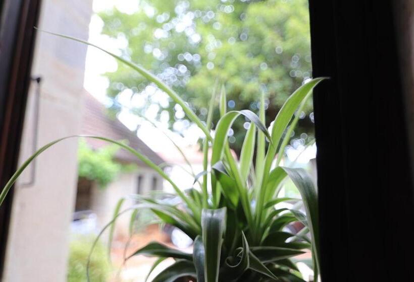 La Malinette B&b, Calme Et Authenticité