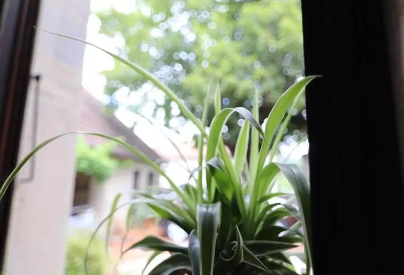 La Malinette B&b, Calme Et Authenticité