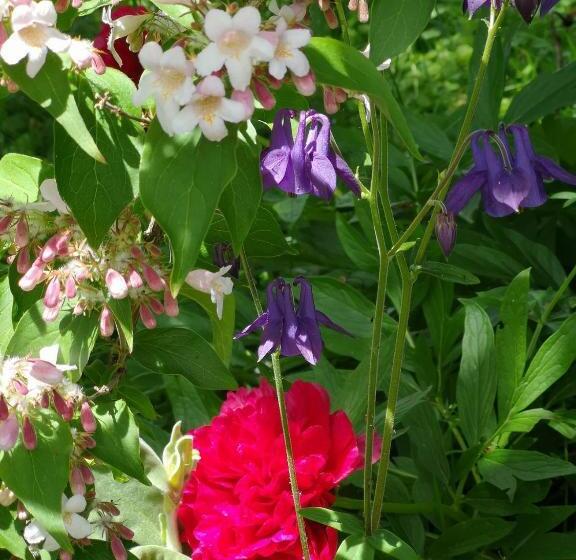La Malinette B&b, Calme Et Authenticité