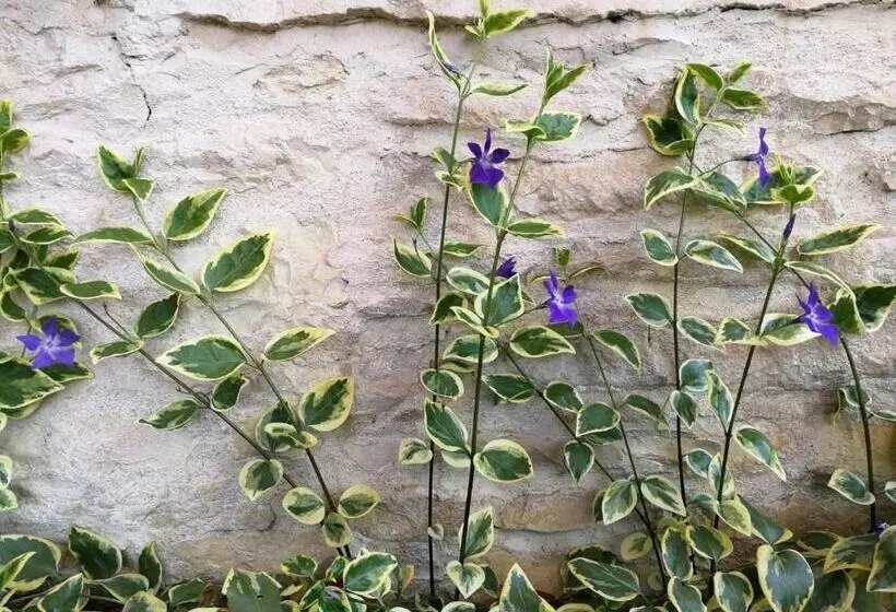 La Malinette B&b, Calme Et Authenticité