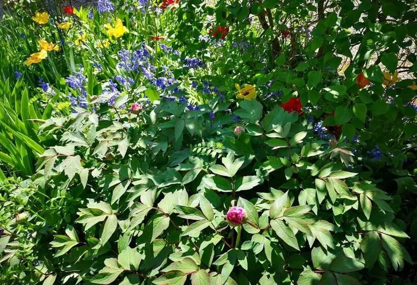 La Malinette B&b, Calme Et Authenticité