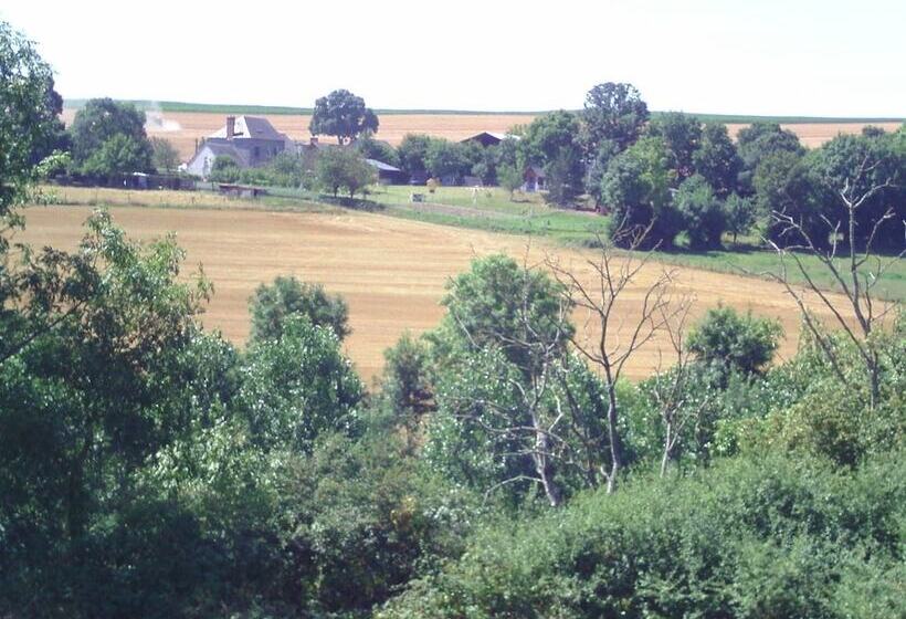 פנסיון Chambre D Hotes De La Mousse