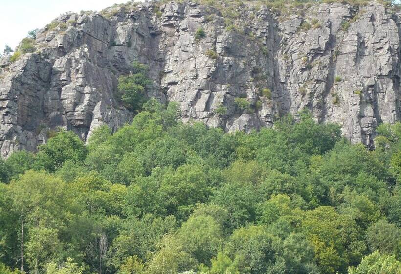 פנסיון Chambre D Hotes De La Mousse