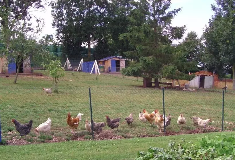 ペンション Chambre D Hotes De La Mousse