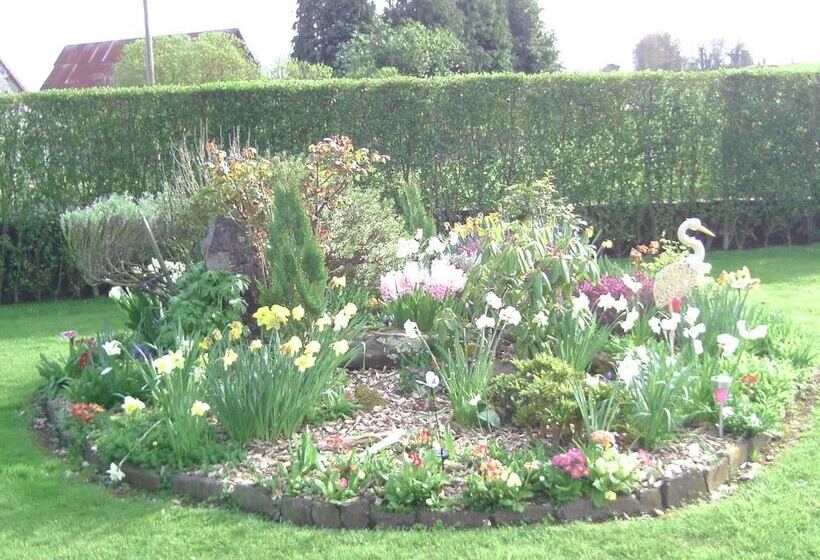 פנסיון Chambre D Hotes De La Mousse