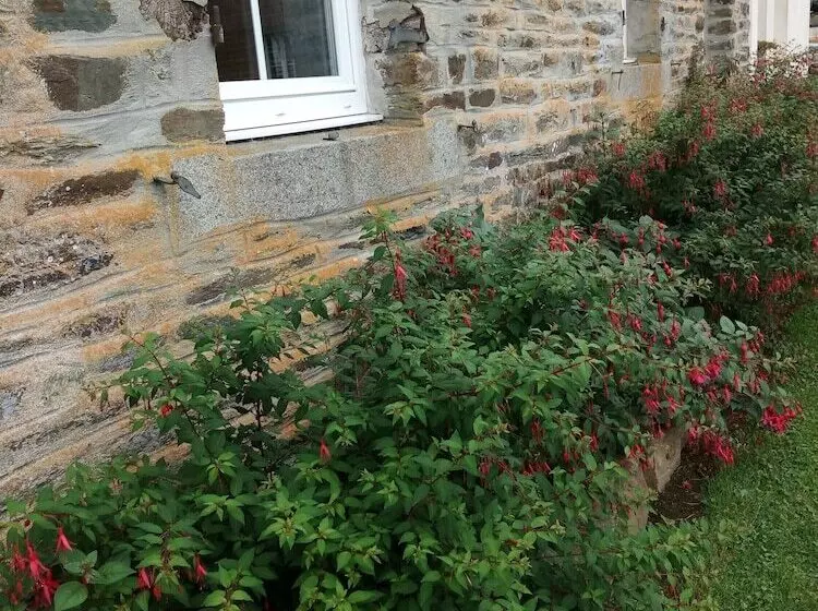 ペンション Chambre D Hotes De La Mousse