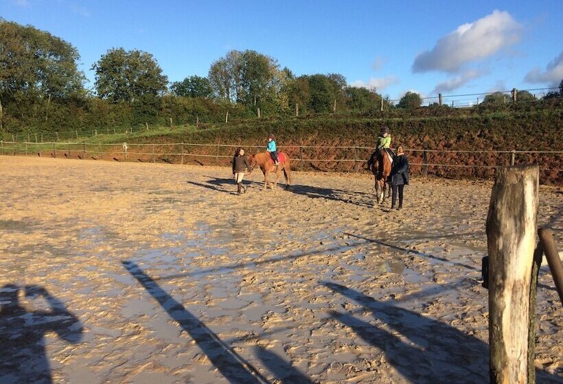 פנסיון Chambre D Hotes De La Mousse