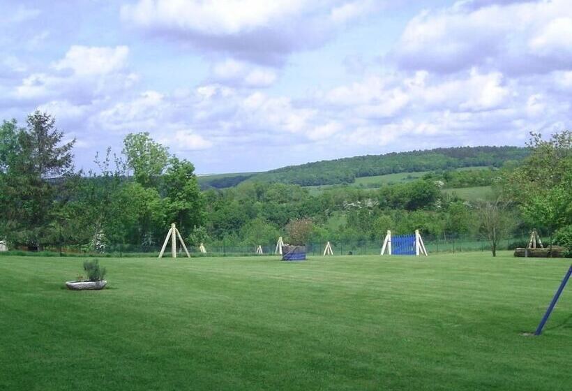 פנסיון Chambre D Hotes De La Mousse