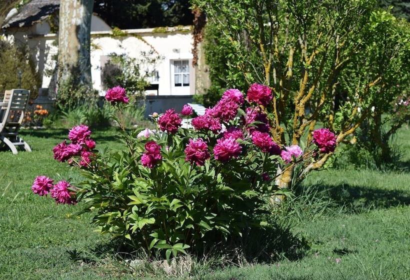 بنسيون La Bastide Des Amouriers