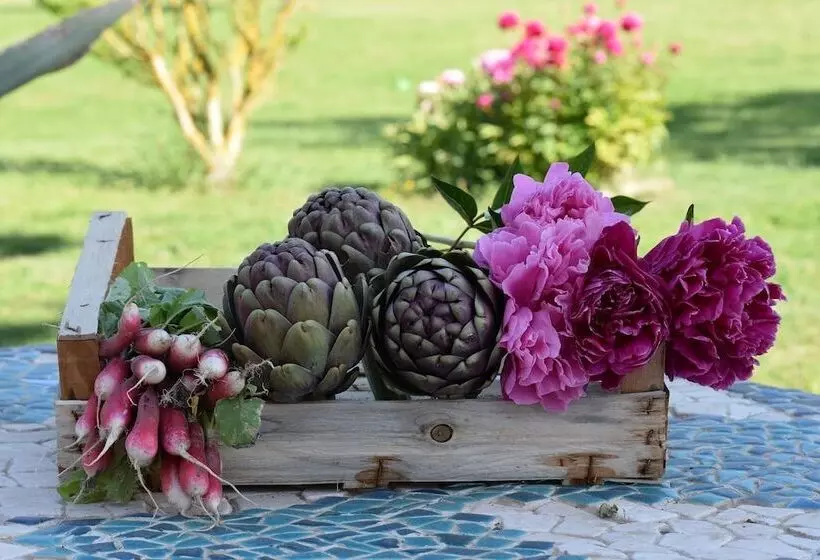 ペンション La Bastide Des Amouriers