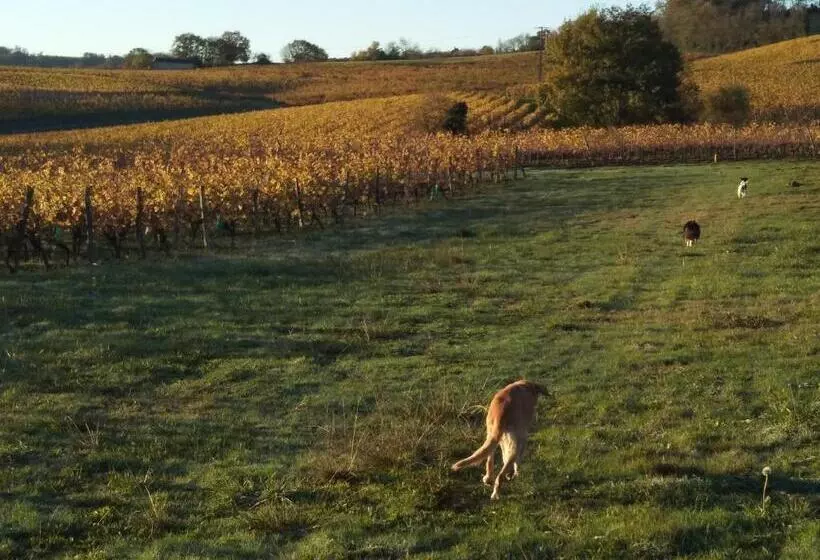 Majatalo Viella Vacances
