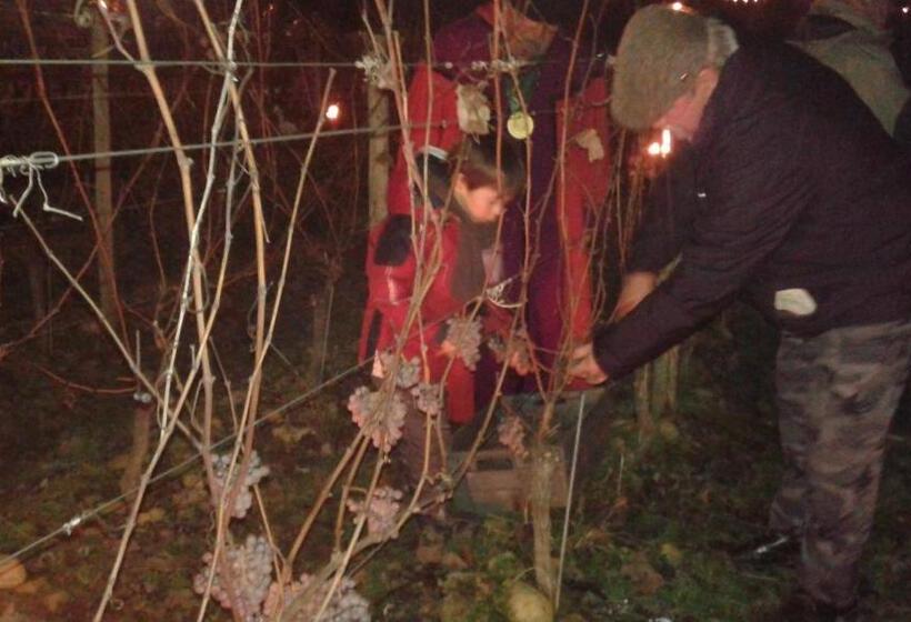 פנסיון Viella Vacances