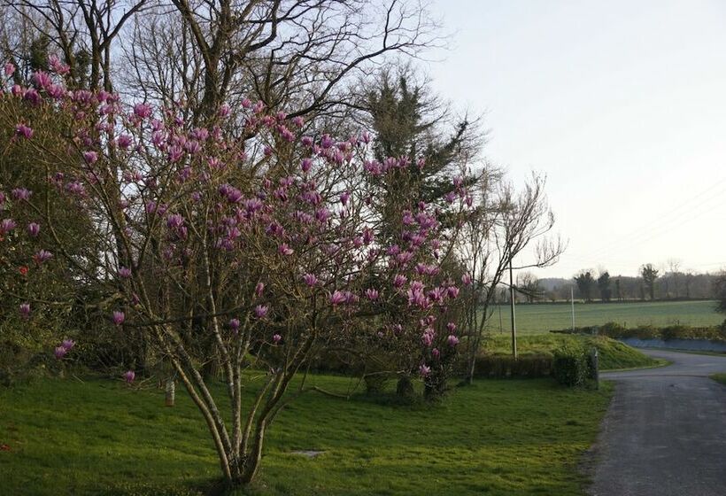 Bed and Breakfast Chambre D Hôtes Ancien Presbytère