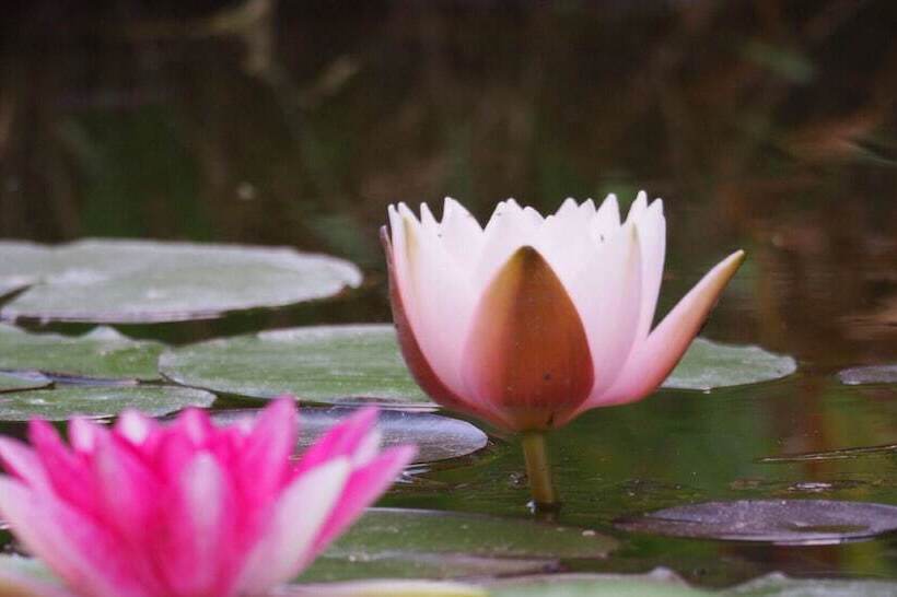 مبيت وإفطار Chambres D Hotes La Bruyere