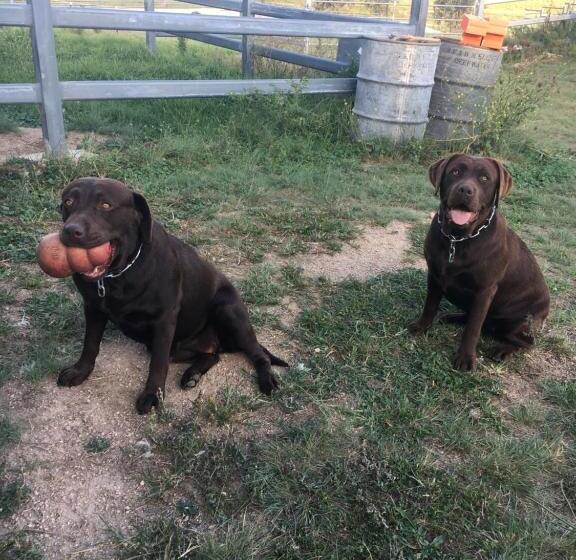 Bed and Breakfast Donegal Farmstay