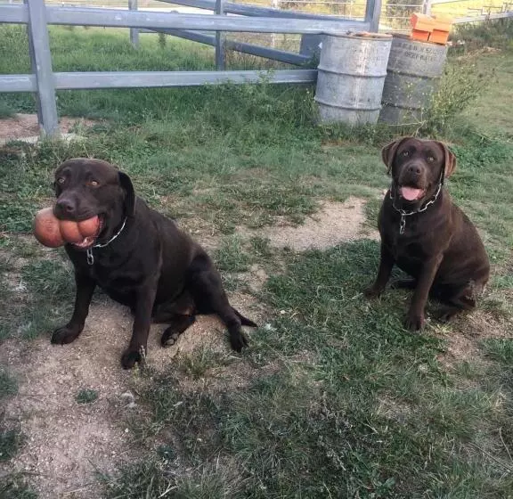 ベッドアンドブレックファースト Donegal Farmstay