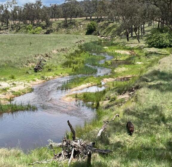 Bed and Breakfast Donegal Farmstay