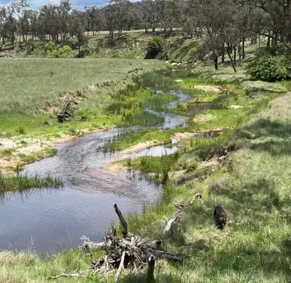 ベッドアンドブレックファースト Donegal Farmstay