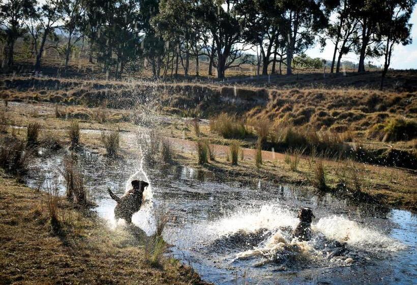 Bed and Breakfast Donegal Farmstay