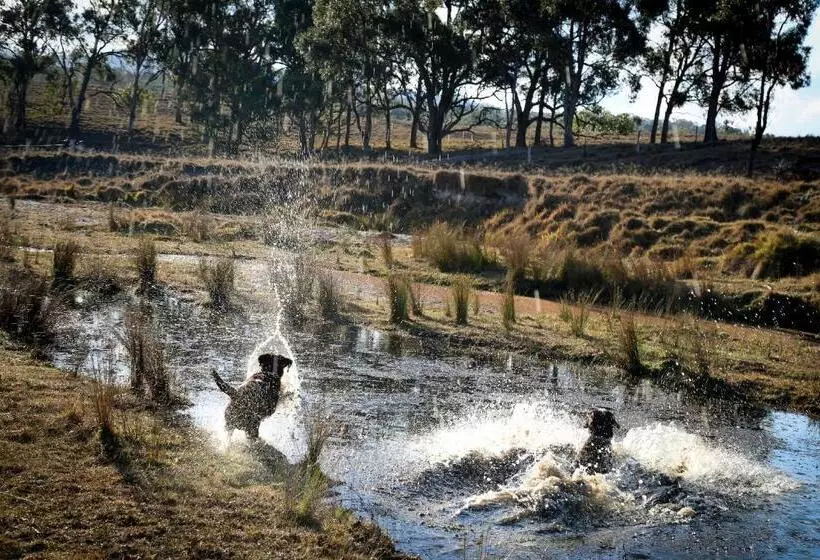 ベッドアンドブレックファースト Donegal Farmstay