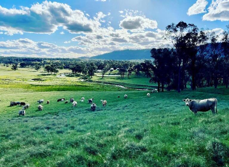 Bed and Breakfast Donegal Farmstay