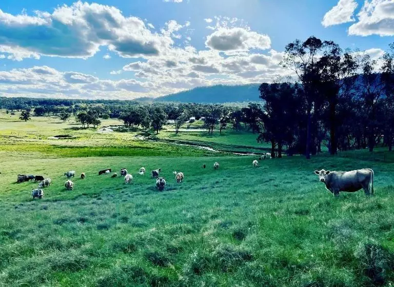 ベッドアンドブレックファースト Donegal Farmstay