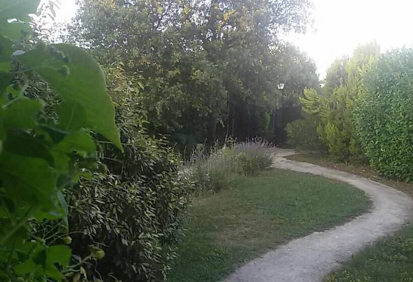 ベッドアンドブレックファースト Lovely Cat S Room Urrunaga