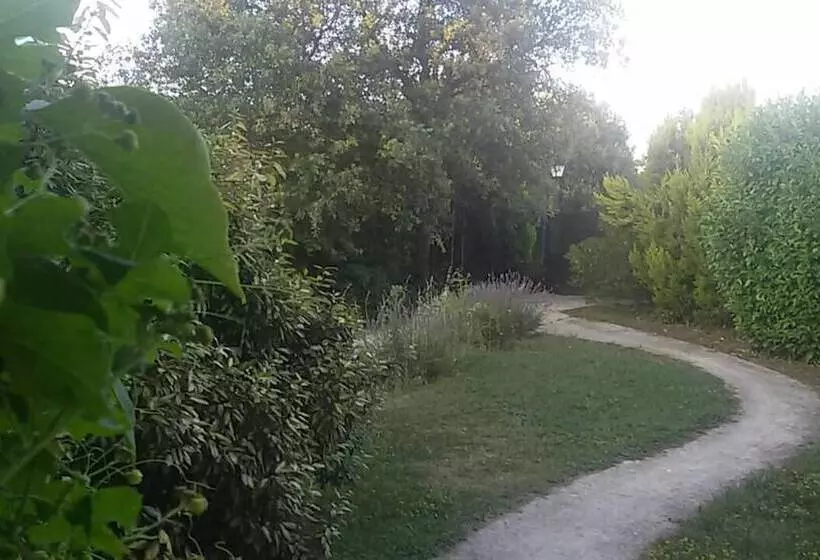 Aamiaismajoitus (B&B) Lovely Cat S Room Urrunaga