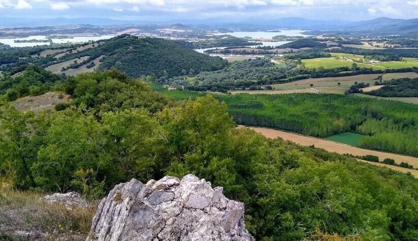 ベッドアンドブレックファースト Lovely Cat S Room Urrunaga