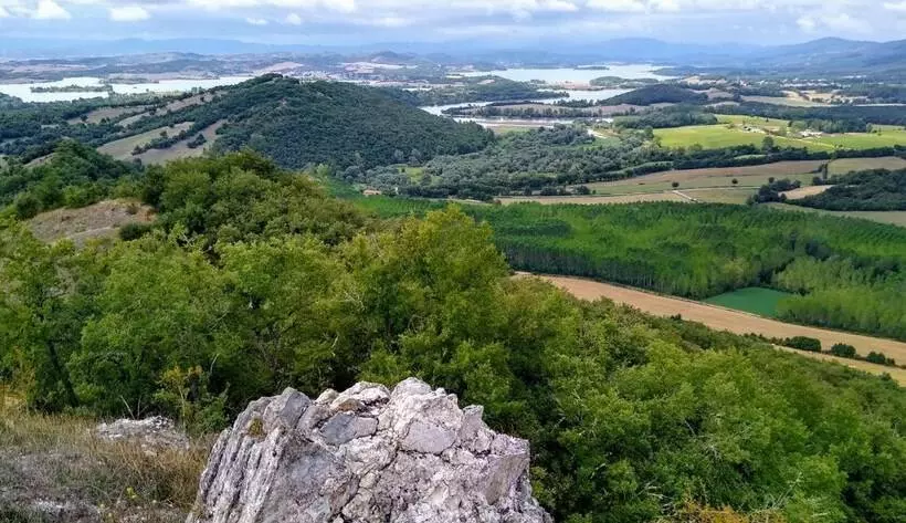 Aamiaismajoitus (B&B) Lovely Cat S Room Urrunaga