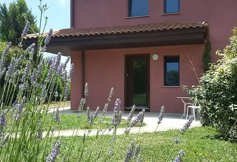 Aamiaismajoitus (B&B) Lovely Cat S Room Urrunaga