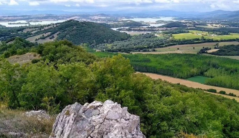 Aamiaismajoitus (B&B) Lovely Cat S Room Urrunaga