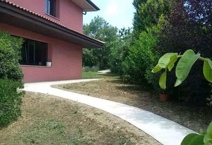 Aamiaismajoitus (B&B) Lovely Cat S Room Urrunaga