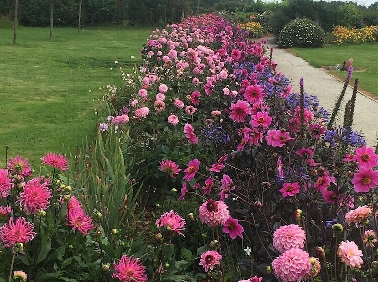 Bed and Breakfast Lyolyl Bnb Nature Loisirs