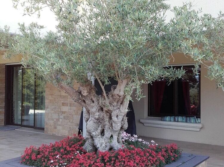 Bed and Breakfast Lyolyl Bnb Nature Loisirs