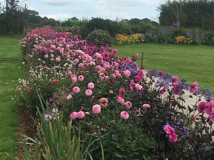 Bed and Breakfast Lyolyl Bnb Nature Loisirs