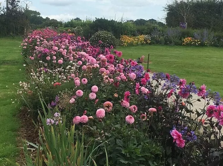 ベッドアンドブレックファースト Lyolyl Bnb Nature Loisirs