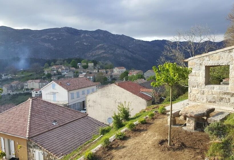 住宿加早餐  San Larenzu