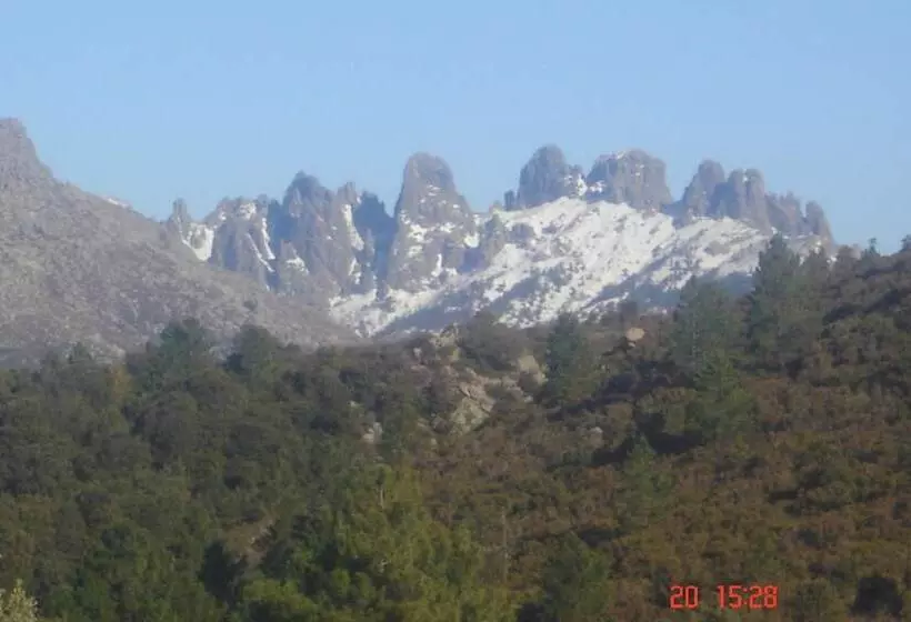 Aamiaismajoitus (B&B) San Larenzu